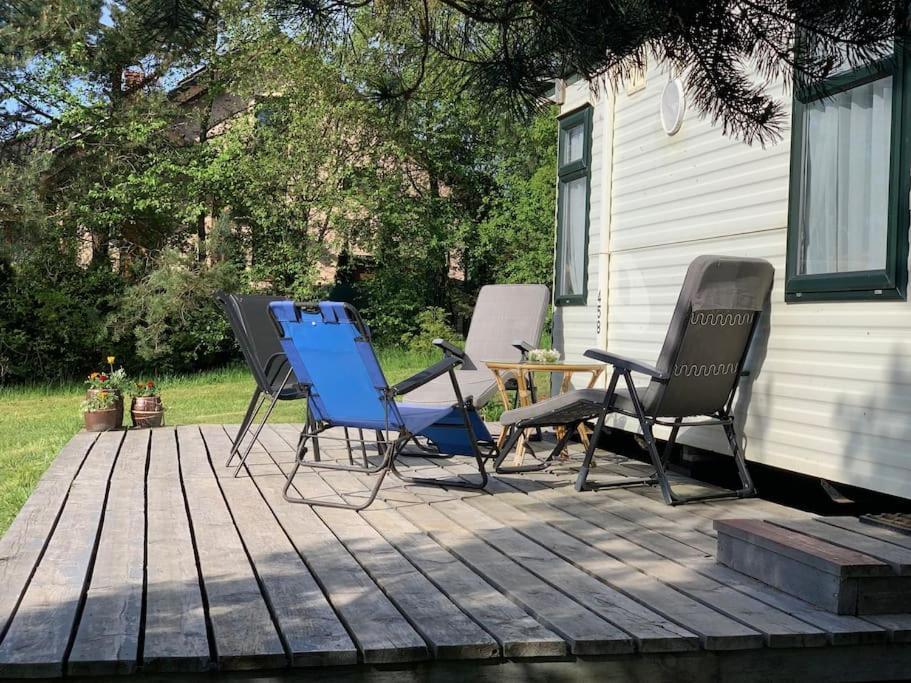 Domek Holenderski Jasnotka Golubie Exterior foto